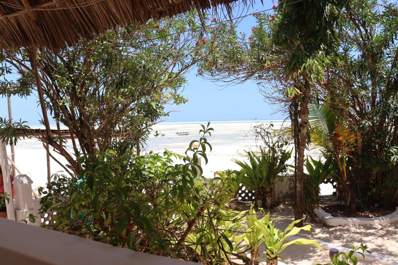 Red Monkey Beach Lodge جامبياني المظهر الخارجي الصورة