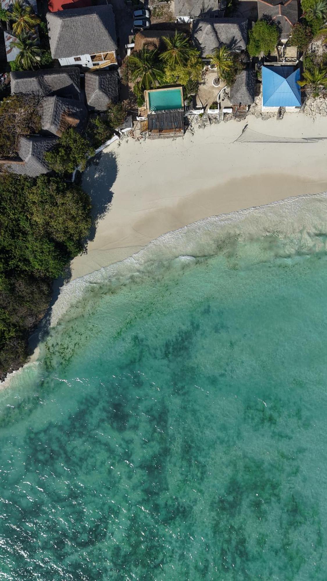 Red Monkey Beach Lodge جامبياني المظهر الخارجي الصورة
