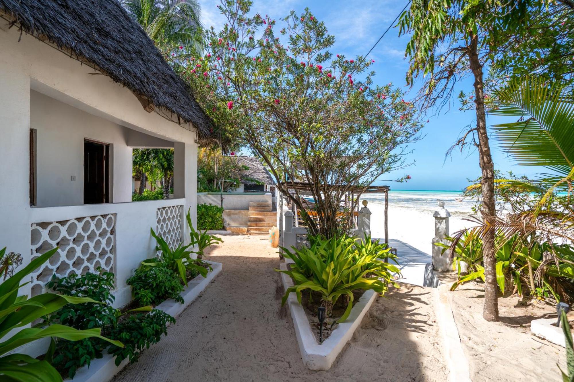 Red Monkey Beach Lodge جامبياني المظهر الخارجي الصورة